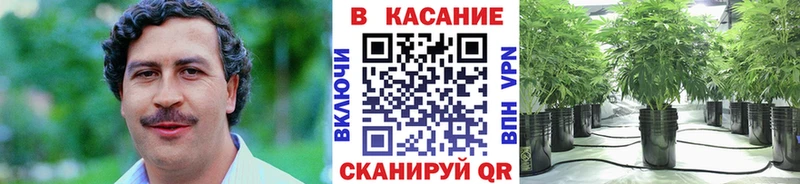 Наркотические вещества Краснознаменск Альфа ПВП  Мефедрон  АМФ  КОКАИН  ГАШИШ 