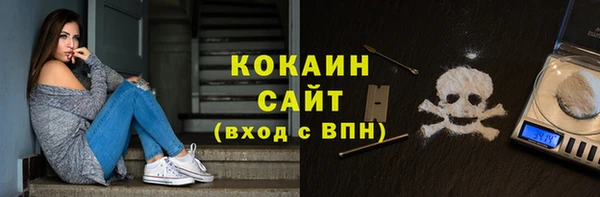 дурь Сясьстрой