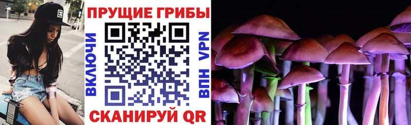 Галлюциногенные грибы GOLDEN TEACHER  наркота  Краснознаменск 